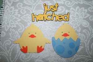 Chicks and Just hatched title die cut