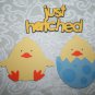 Chicks and Just hatched title die cut
