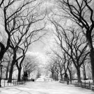 take a stroll