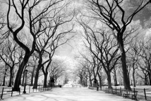 take a stroll