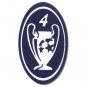 Trophy 4 UEFA Champion Bayern Munich Ajax New Iron On Patch