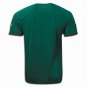 Cameroun Home New Green 2010