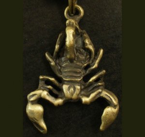Alloy zinic brass ferocious malicious scorpion vinegarroon pendant Necklace Braid Cord EB21