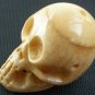 Tibet Yak Bone Hand Carved Yellow Human Skull Cranium Framework IZ01