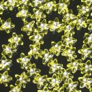 1000 pcs Wedding Dress Accessories Silvertone Dot Yellow Resin Star Flower Beads Findings ZZ5121
