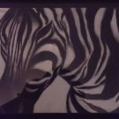 Charcoal Zebra