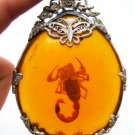 A-Vintage tibet silver amber scorpion pendant