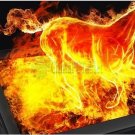 China wholesale Ainol NOVO7 Paladin 8G 7 inch Android4.0 DDR2 512MB Tablet PC with wifi
