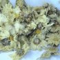 Chrysanthemum Tea