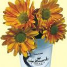 Mini Flower Kit