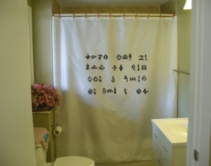 Bath Shower Curtain poem from a lost world symbol language