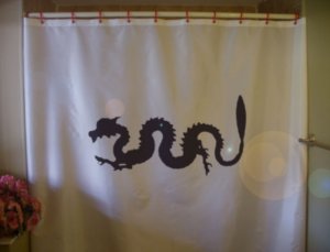 Bath Shower Curtain eastern drago chinese wise power china