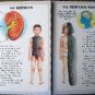 My First Book of The Human Body