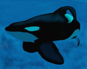 Tilikum