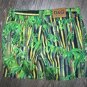 Vintage D&G Dolce & Gabbana shorts