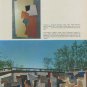 Artist Hans Richter Vintage 1968 Art Magazine Article by Cleve Gray