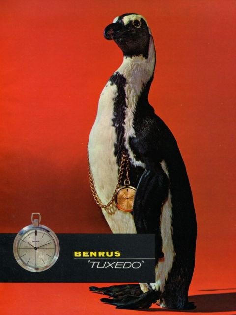 1965 Benrus Watch Company Benrus Tuxedo Advert Vintage 1965 Swiss Ad Suisse Advert Horlogerie