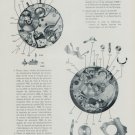 1956 La Montre Reveil A. Schild No. 1475 & Venus No. 320 1956 Swiss Magazine Article Horology