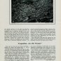 1944 La Chaux-de-Fonds Switzerland Cite Vivante Vintage 1944 Swiss Magazine Article Suisse