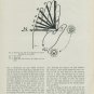 1949 A Sun-Dial on the Hand 1949 Swiss Magazine Article by Dr. Gustave Schaefer Sundial Horology