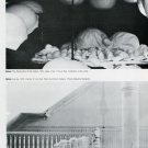 1975 Louise Bourgeois An Iconography of Abstraction 1975 Magazine Article by Carl R. Baldwin