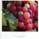 Gus Heinze 1997 Art Exhibition Ad Advert Arbor Grapes Gus Heinze 1997 Art Exhibition Ad Advert Arbor Grapes