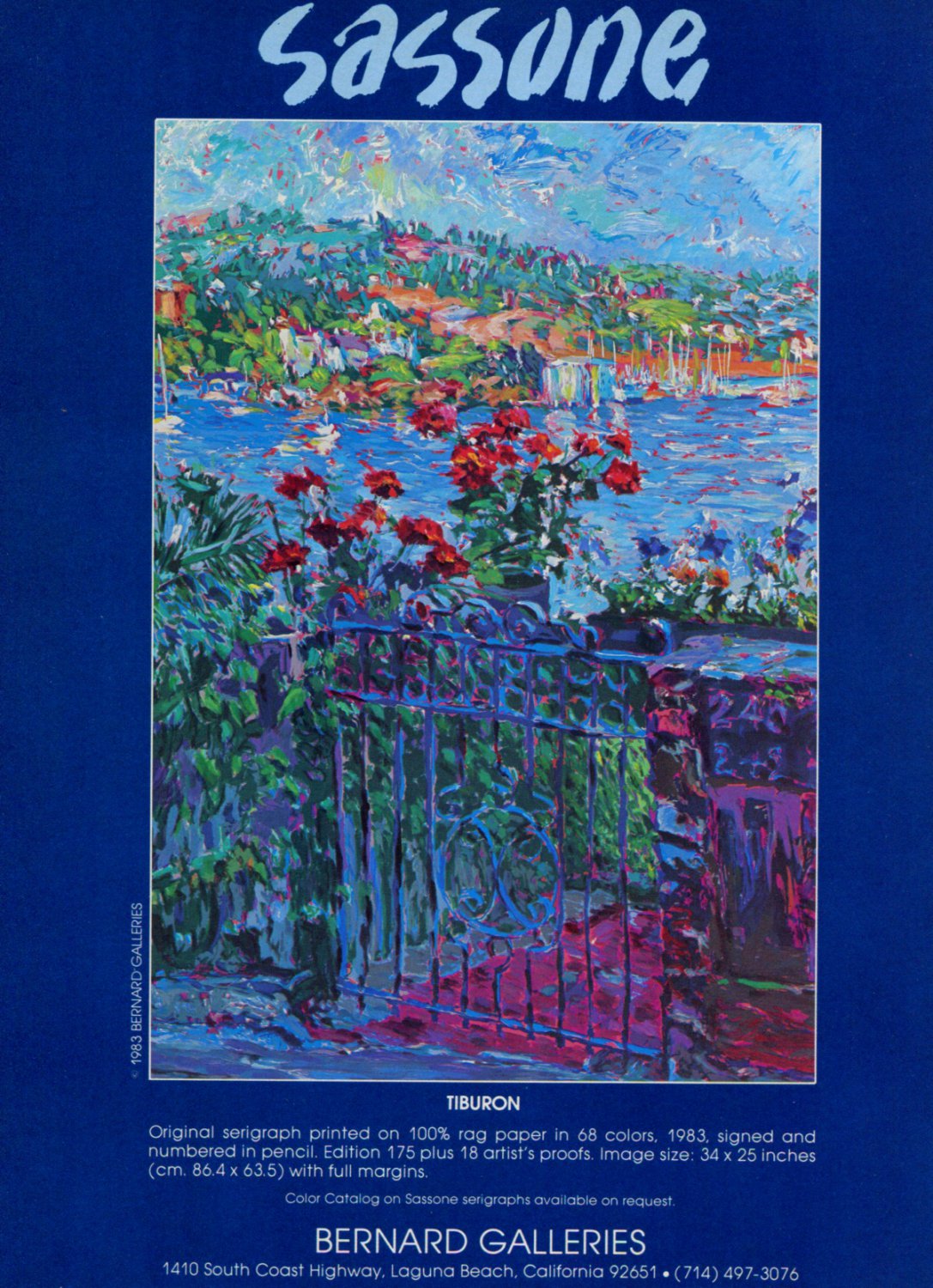 Sassone Tiburon 1983 Art Ad Advert Advertisement
