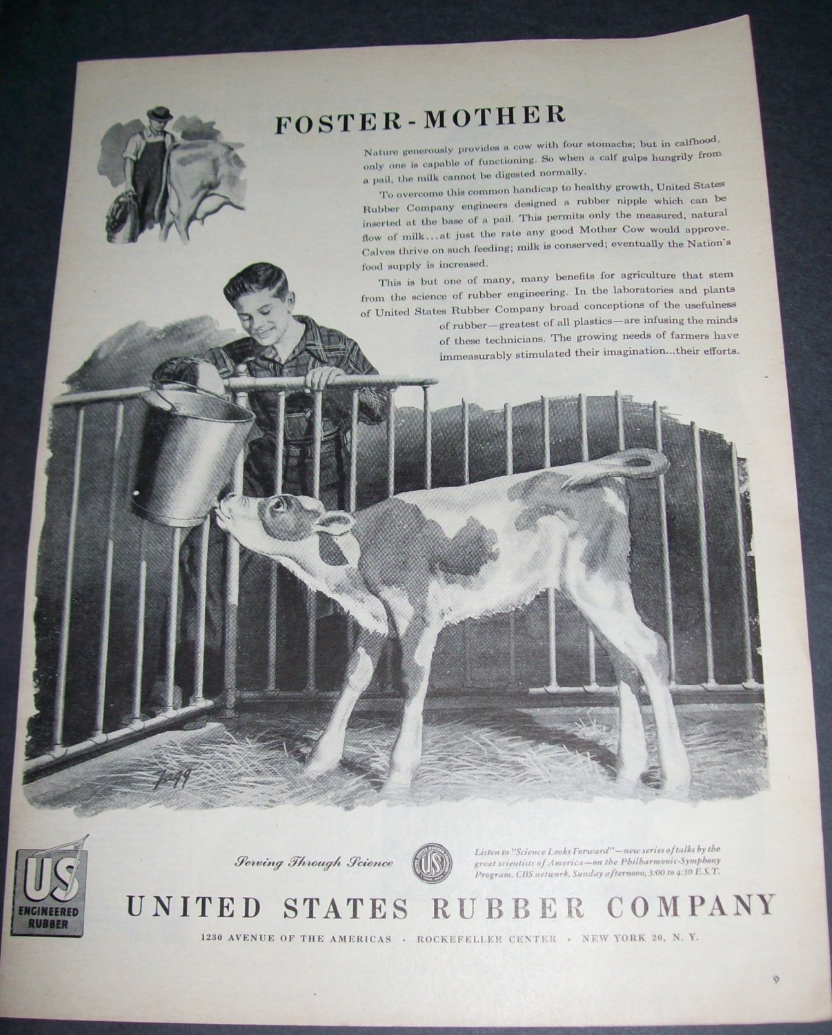 Original 1945 United States Rubber Company Farming Cows Calves Vintage 1940's Ad Magazine Advert