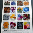 Vintage 1936 Burpee Burpees Garden Flowers Print Ad Publicite Advert W Atlee Burpee Philadelphia