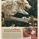 1964 Friskies Dog Food with the New Lean Meat Look Carnation Cats Pets Ad Advert 1964 Friskies Dog Food with the New Lean Meat Look Carnation Cats Pets Ad Advert