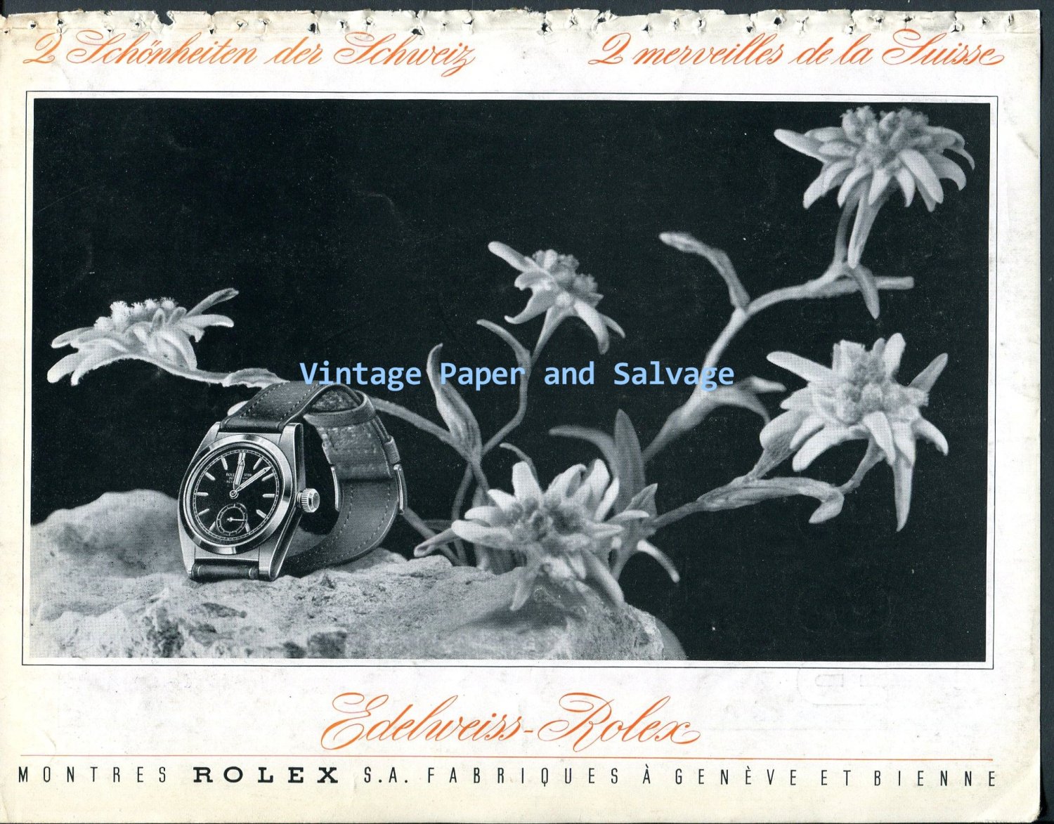 1945 Rolex Watch Company Edelweiss-Rolex Vintage 1940s Swiss Print Ad Switzerland CH
