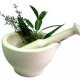 Herbs