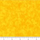FIVE INCH Quilt Charms SQUARES 4 DOZEN BLENDER 0503 Goldenrod Tonal MOTTLED