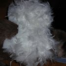 Pet Wings