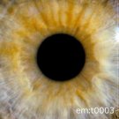 EMT 0003 GREGOR SAMSA MIA BRANNAN LANE BEATSYSTEM CD