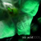 302 ACID 302 ACID 0005 EVEN CALLS DUB AMBIENT CD