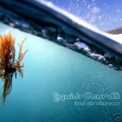 SOUL VIBRATION 1 001 AMBIENT DAVE BLACKMAN TRANCE CD