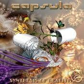 CAPSULA SYNTHESIS OF REALITY RARE AMBIENT CHILL OOP CD