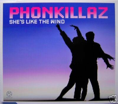 THE PHONEKILLAZ SHE'S LIKE THE WIND LTD REMIXES CD NEW