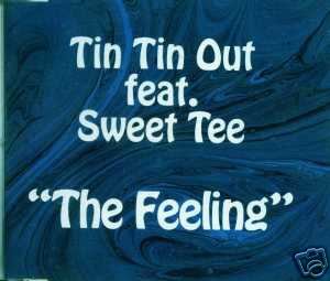 TIN TIN OUT THE FEELING SUPERB 35 MIN REMIX CD NEW