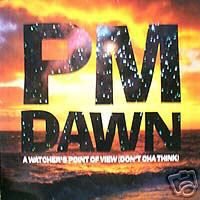 PM DAWN A WATCHER'S POINT OF VIEW CD IMPORT - NEW