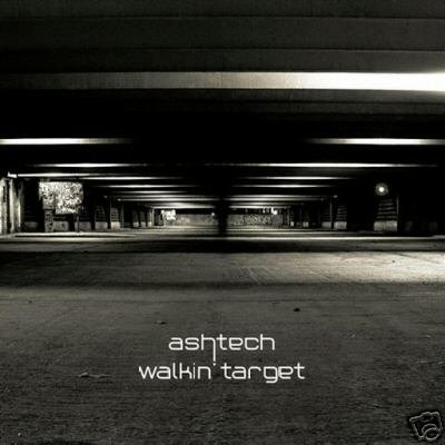ASHTECH WALKIN' TARGET GAUDI SUPERB PSY-TRANCE CD
