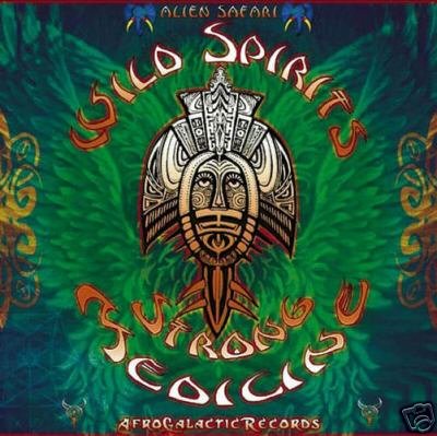 WILD SPIRITS STRONG MACHINE SLUG BRETHREN RARE OOP CD