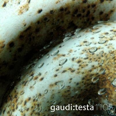 GAUDI & AND TESTA 1105 CONTINVVM COLLECTORS TRANCE CD
