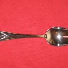 WATERFORD* 18/10 STAINLESS STEEL LISMORE PLACE SPOON NEW IN PACK.