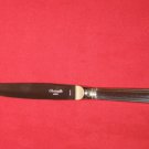 CHRISTOFLE (FRANCE) FLATWARE STAINLESS,ACIER,GLOSSY,DINNER KNIFE NEW.