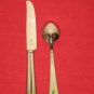 WATERFORD* 18/10 STAINLESS" MERRILL"2 PIECE (Place Spoon,Place Knife)SET NEW.