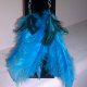 Feather Earrings