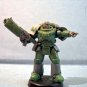 Terran Marine
