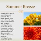 Summer Breeze